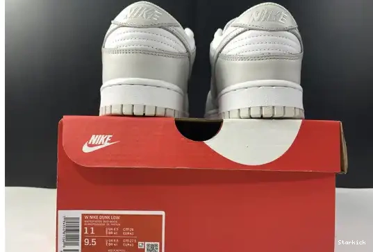 Dust" Dunk "Photon Nike Low DD1503-103 0622